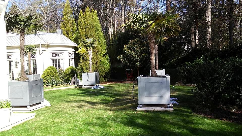 Courtyard garden with palms by Damaso Landscaping, Atlanta GA