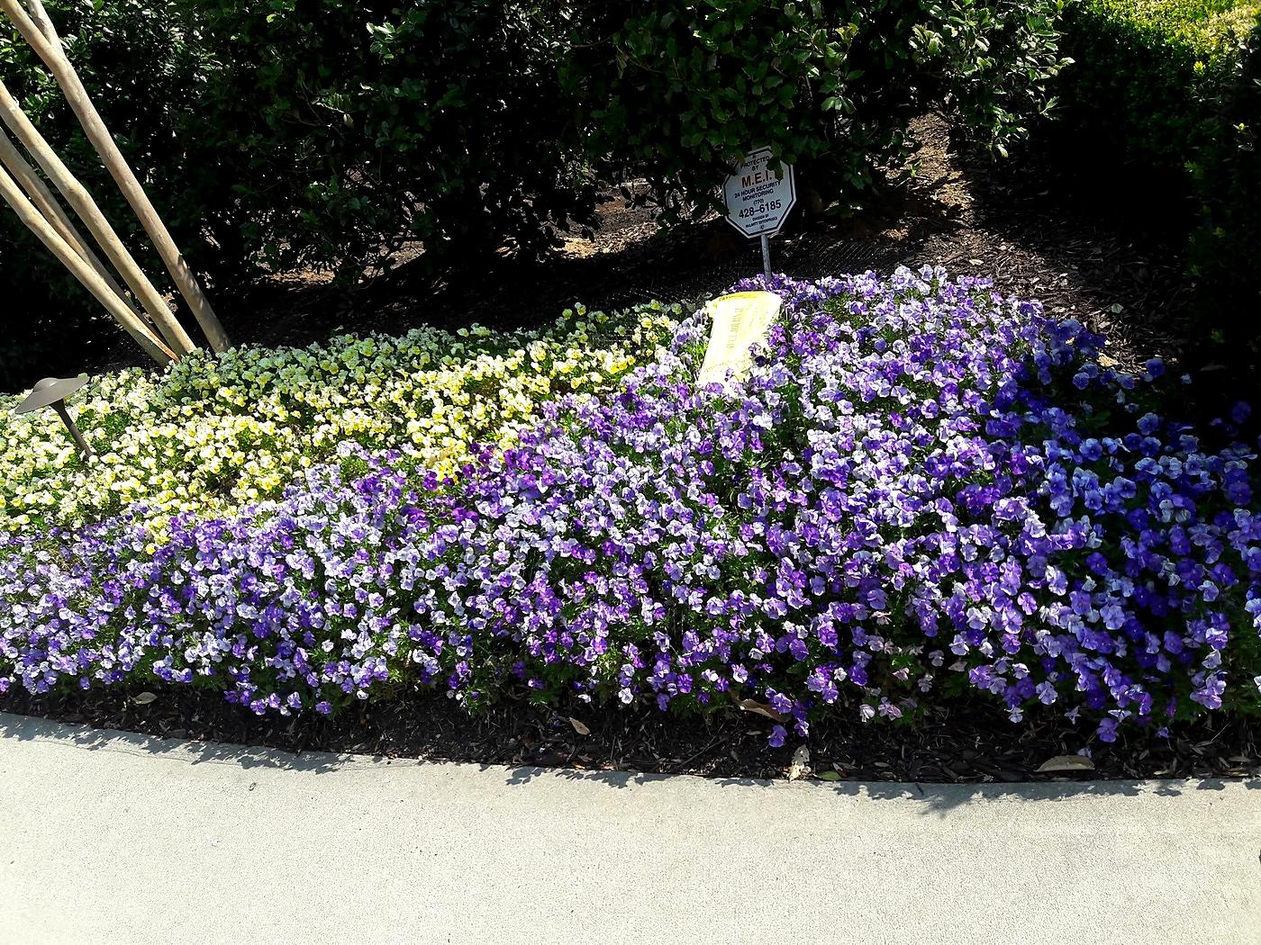 Landscape Installation & Flower Beds in Atlanta, GA