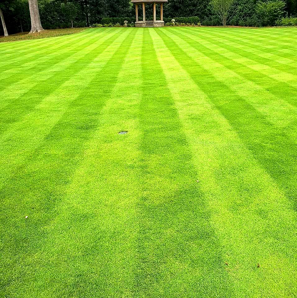 Lawn Care & Mowing in Atlanta, GA