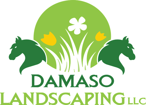 Damaso Landscaping LLC logo