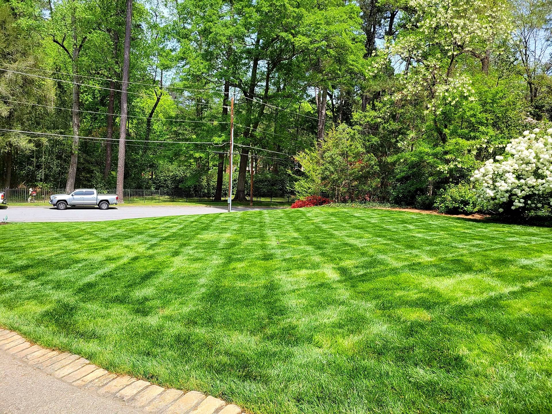 Striped front lawn with flowering shrubs by Damaso Landscaping, Atlanta GA